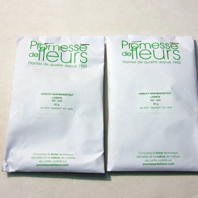 Esempio di esemplare Fagiolo nano Liverte sacchetto di 180 semi circa (90g) come consegnato