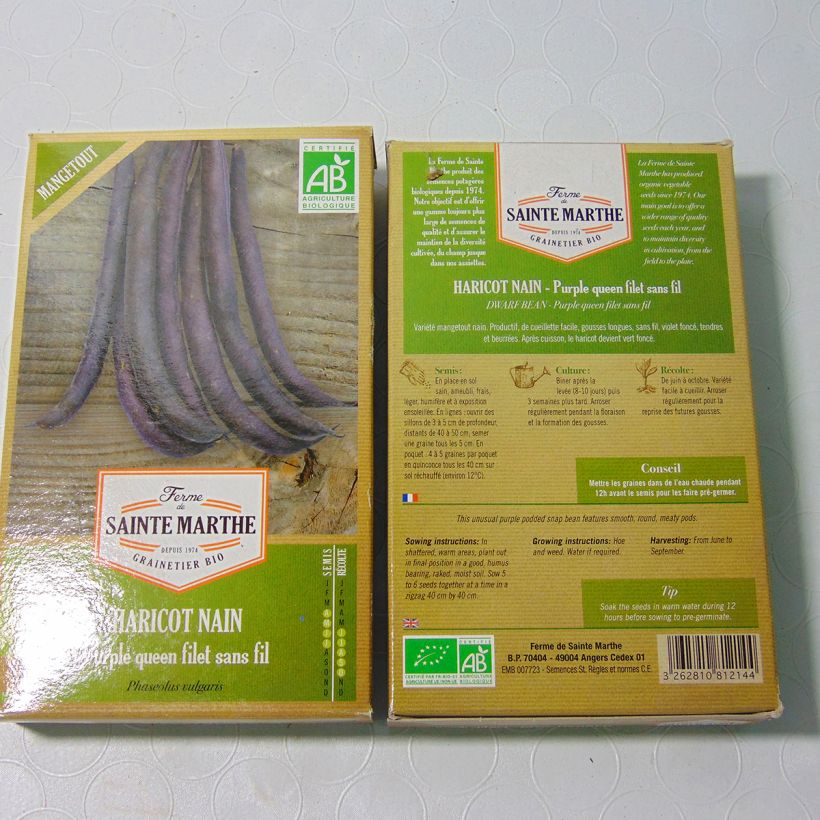 Esempio di esemplare Fagiolo nano Purple Queen Bio - Ferme de Sainte Marthe sacchetto di 160 semi circa (80g) come consegnato