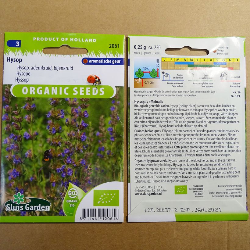 Esempio di esemplare Hyssopus officinalis Bio - Issopo sacchetto di 220 semi circa (0.25g) come consegnato