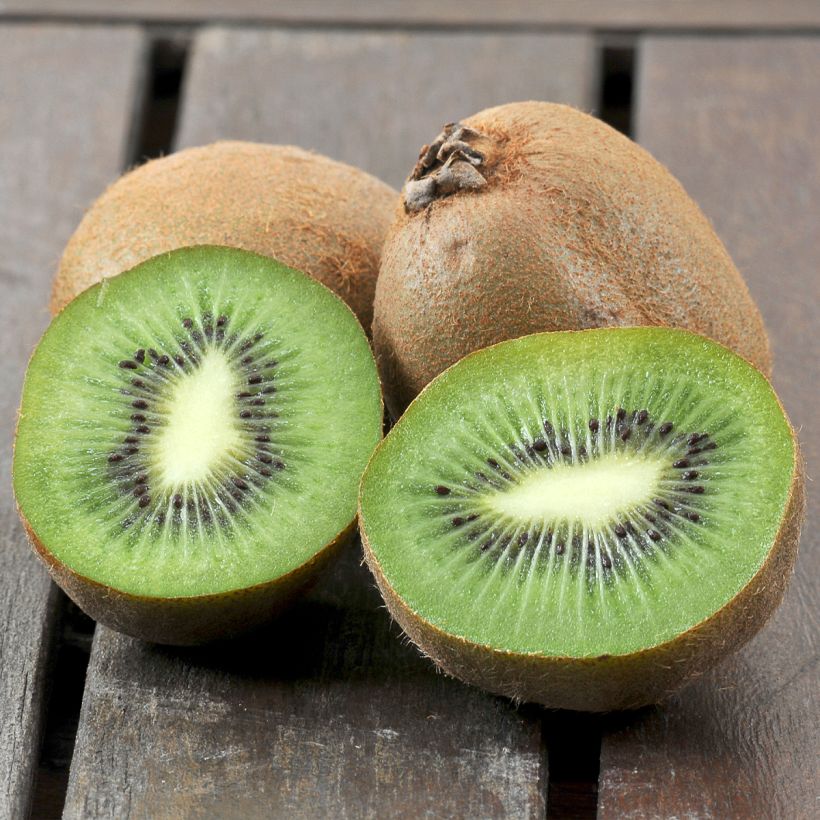 Kiwi Actinidia deliciosa Boskoop (Raccolta)