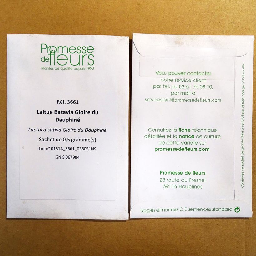 Example of Lattuga latina Gloire du Dauphiné sacchetto di 400 semi circa as you get