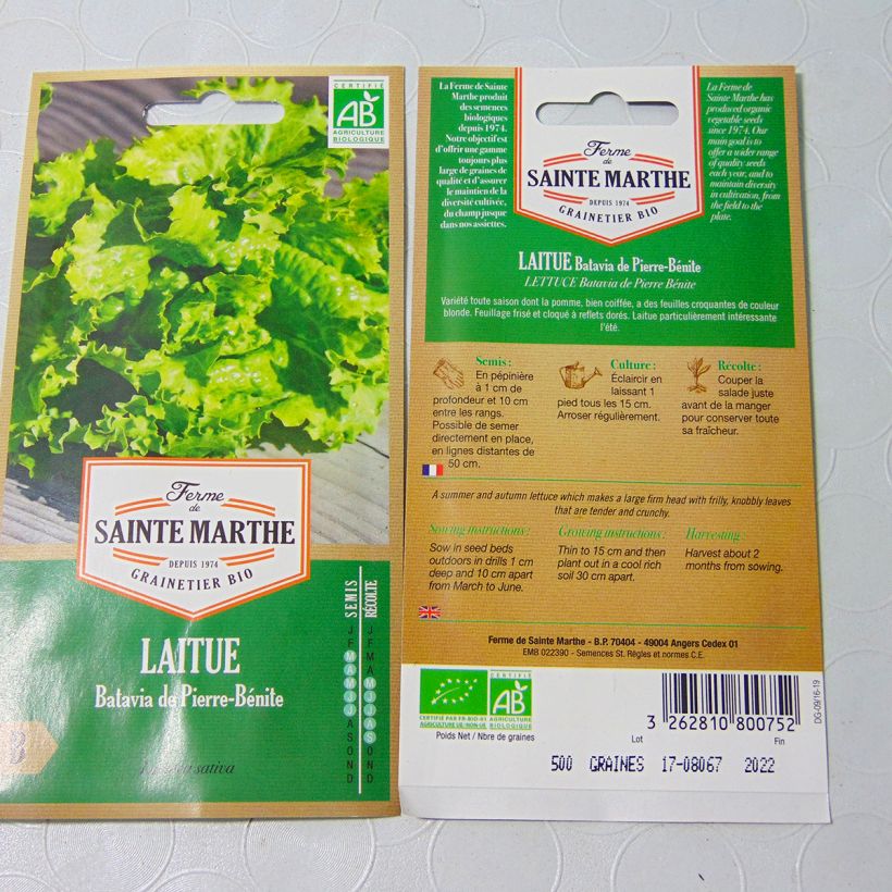 Example of Lattuga batavia di Pierre Bénite Bio - Ferme de Sainte Marthe sacchetto di 500 semi circa (3g) as you get