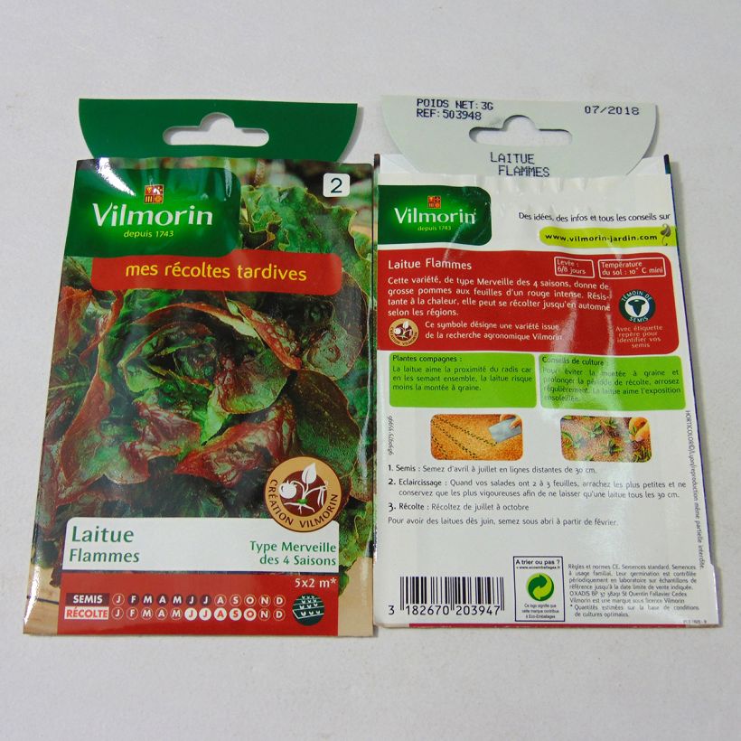 Example of Lattuga a cappuccio Flammes sacchetto di 2400 semi circa (3g) as you get