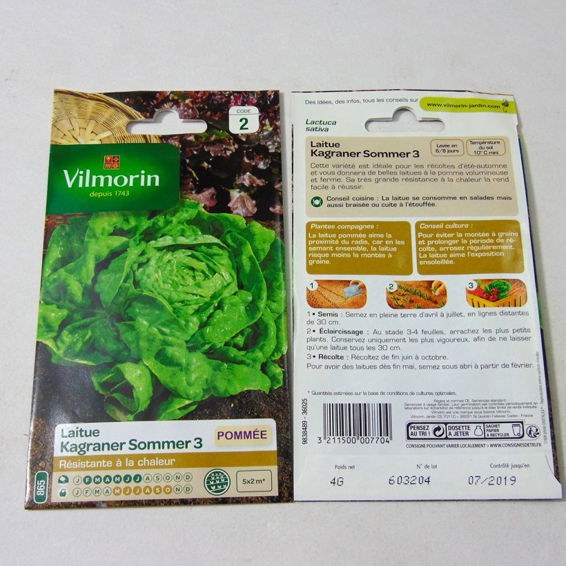 Example of Lattuga a cappuccio Kagraner Sommer 3 sacchetto di 3200 semi circa (4g) as you get