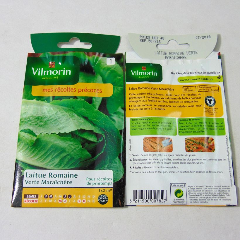 Example of Lattuga romana verde degli ortolani sacchetto di 3200 semi circa (4g) as you get