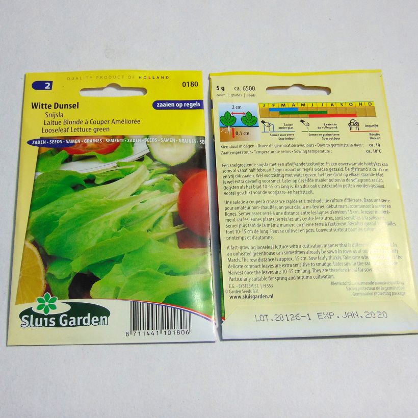 Esempio di esemplare Lattuga da taglio à couper Blonde à couper améliorée sacchetto di 6500 semi circa (5g) come consegnato