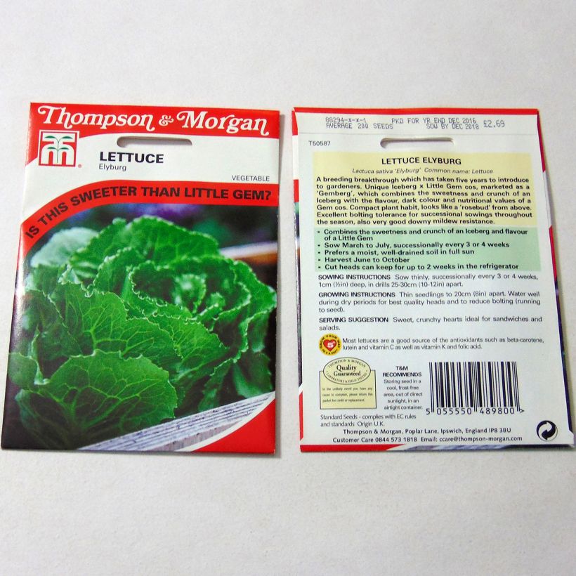 Esempio di esemplare Lattuga ibrida Elyburg sacchetto di 200 semi circa come consegnato