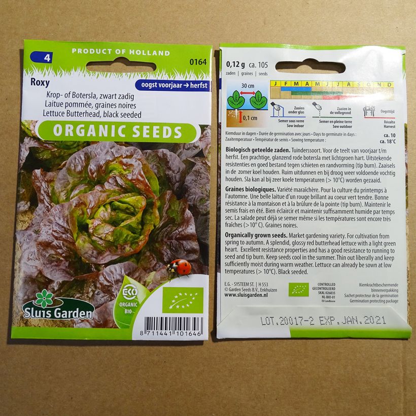 Esempio di esemplare Lattuga a cappuccio Roxy sacchetto di 105 semi circa (0.12g) come consegnato