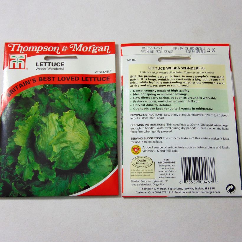 Esempio di esemplare Lattuga a cappuccio Webbs Wonderful sacchetto di 1500 semi circa come consegnato