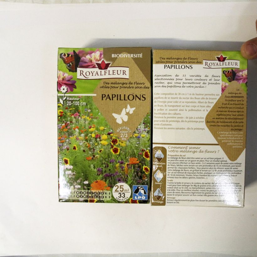 Esempio di esemplare Mix per attirare le farfalle - Scatola 25 m2 sacchetto di semi da 40 grammi come consegnato