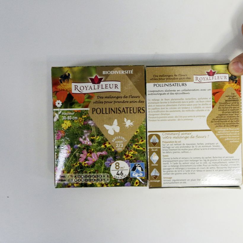 Esempio di esemplare Mischia per attirare i impollinatori - Scatola 8 m2 sacchetto di semi da 14 grammi come consegnato
