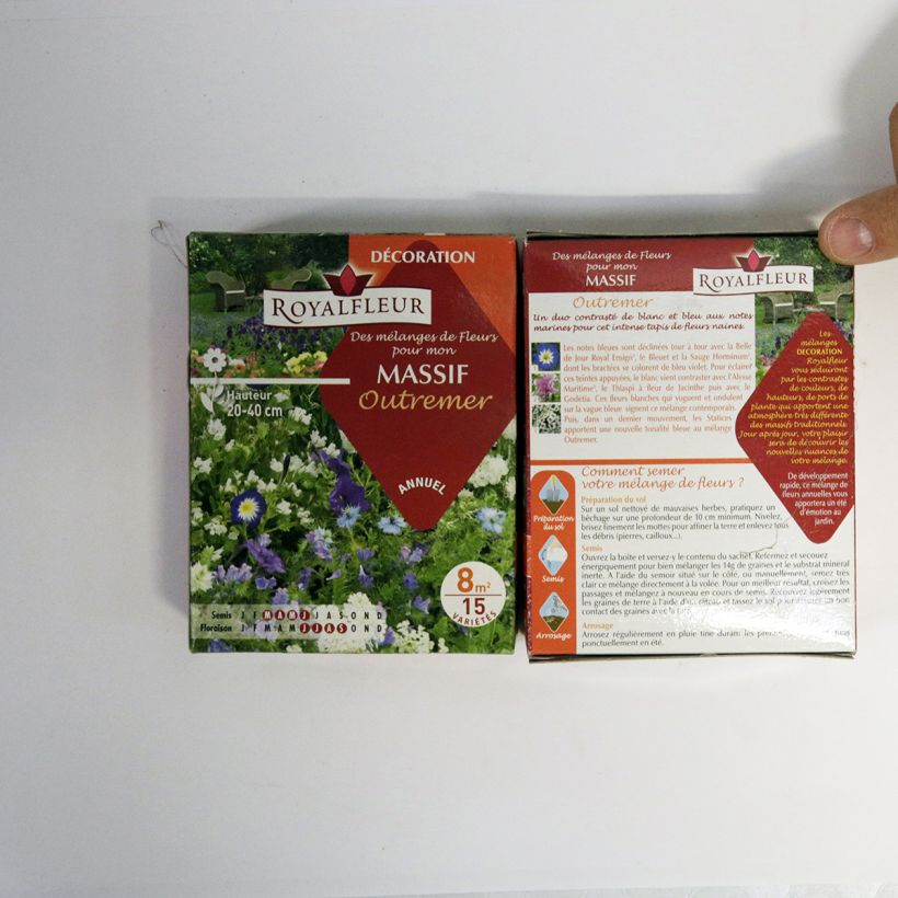 Example of Mischia per aiuola tasso - Scatola 8 m2 sacchetto di semi da 14 grammi as you get