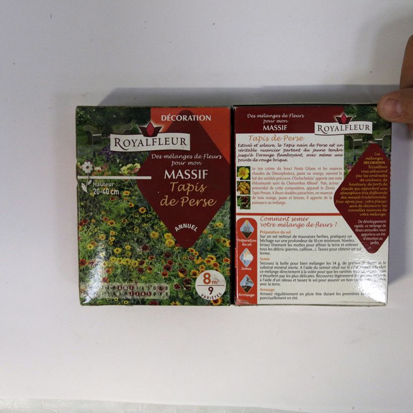 Esempio di esemplare Mischia per tappeto di Perse - Confezione 8 m2 sacchetto di semi da 14 grammi come consegnato