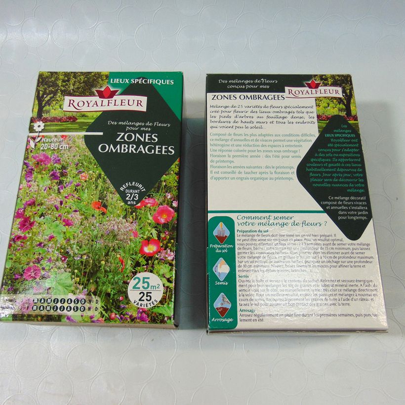 Example of Mix per zone ombrose - Scatola 25 m2 sacchetto di semi da 40 grammi as you get