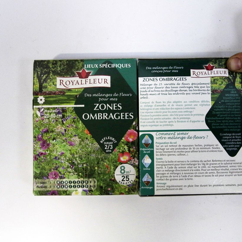 Esempio di esemplare Mix per zone d'ombra - Scatola 8 m2 sacchetto di semi da 14 grammi come consegnato