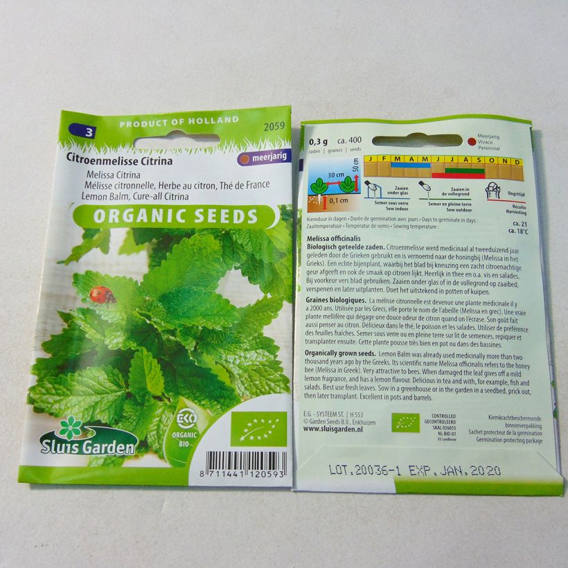 Esempio di esemplare Melissa officinalis Bio (semi) - Melissa vera sacchetto di 1000 semi circa (0,6g) come consegnato