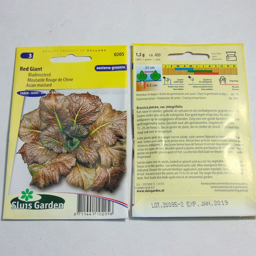 Example of Senape indiana rossa Red Giant sacchetto di 800 semi circa (2g) as you get