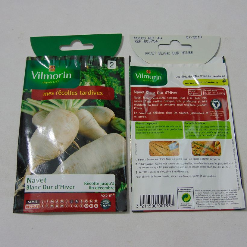 Esempio di esemplare Rapa Bianca dura d'inverno - Vilmorin sacchetto di 1600 semi circa (4g) come consegnato