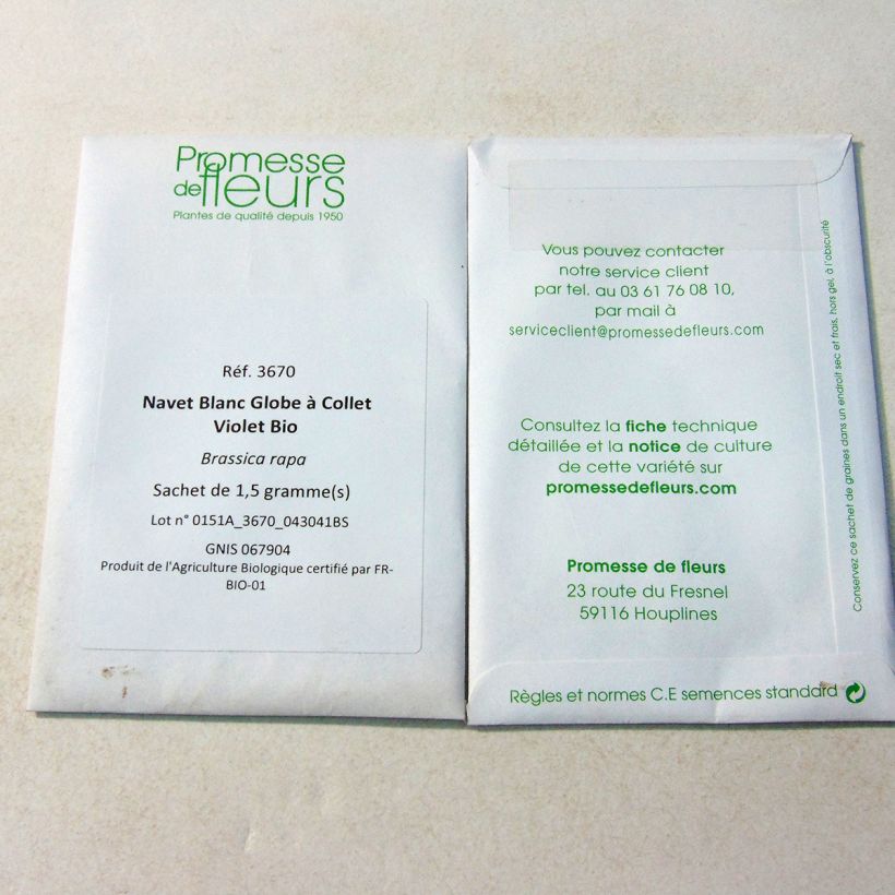 Esempio di esemplare Rapa Bianca globe colletto viola Bio Semi come consegnato