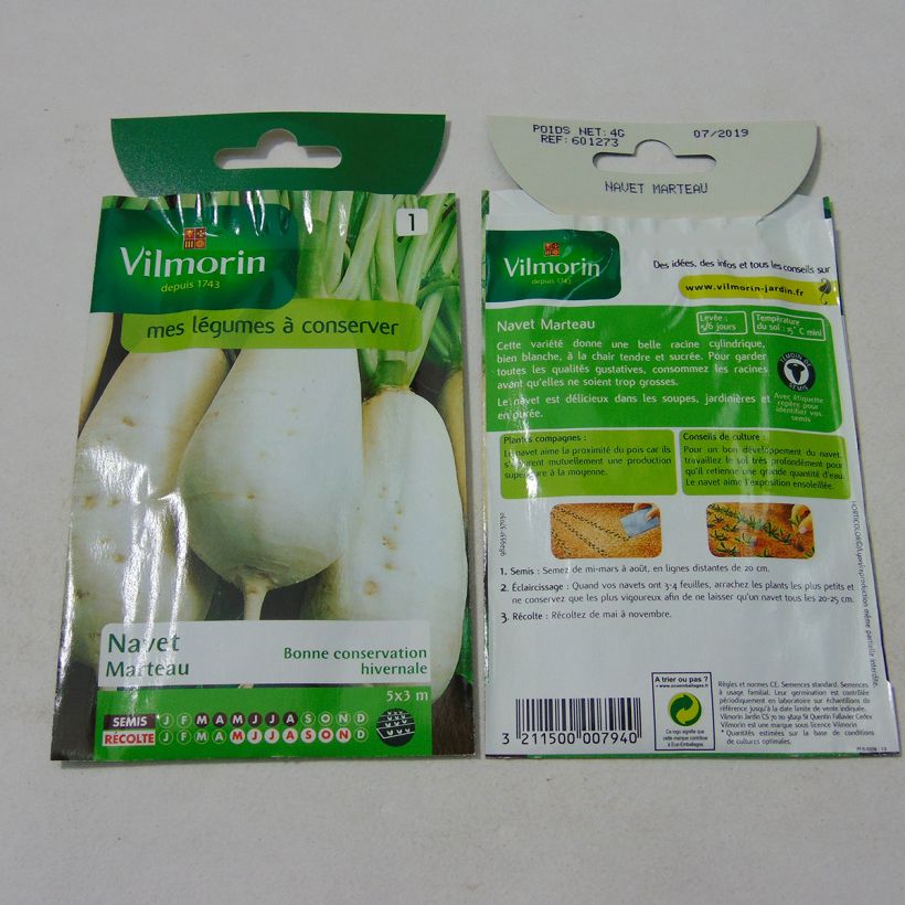 Esempio di esemplare Rapa Martello - Vilmorin sacchetto di 1600 semi circa (4g) come consegnato