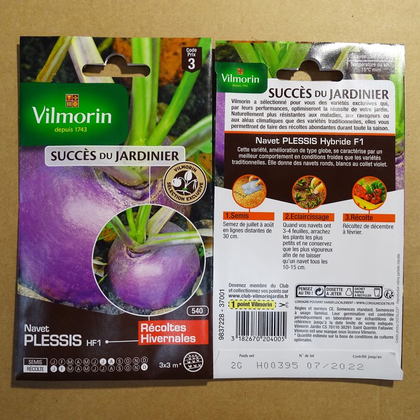 Esempio di esemplare Rapa Plessis F1 sacchetto di 800 semi circa (2g) come consegnato