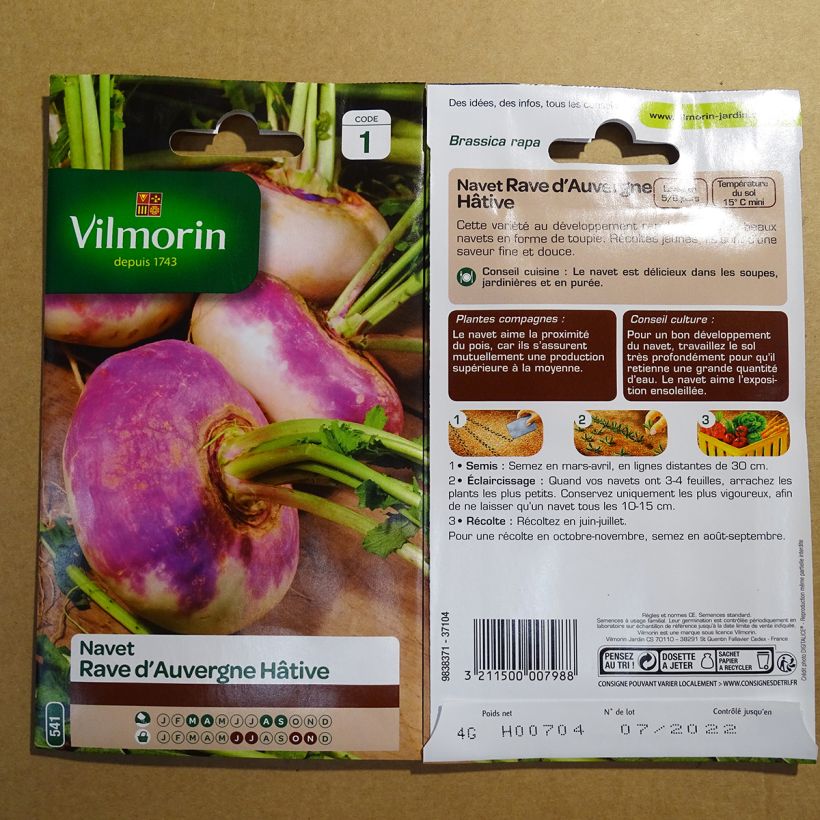 Esempio di esemplare Rapa Rave d'Auvergne affrettato - Vilmorin sacchetto di 1600 semi circa (4g) come consegnato