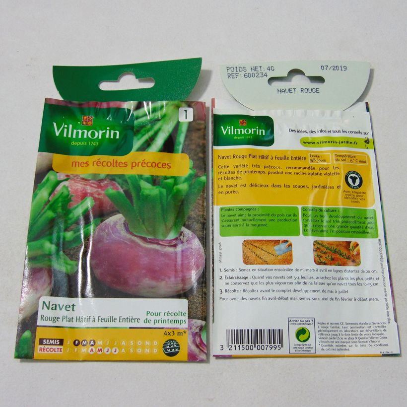 Esempio di esemplare Rapa rossa Foglia intera precoce piatta rossa - Vilmorin sacchetto di 1600 semi circa (4g) come consegnato