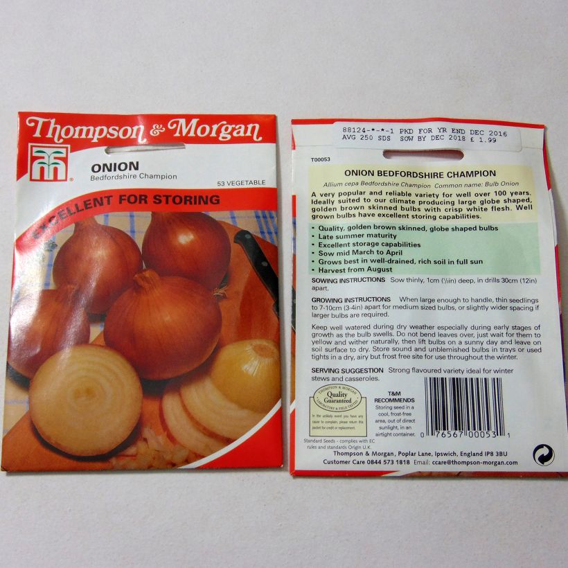 Esempio di esemplare Cipolla Bedfordshire Champion sacchetto di 250 semi circa come consegnato
