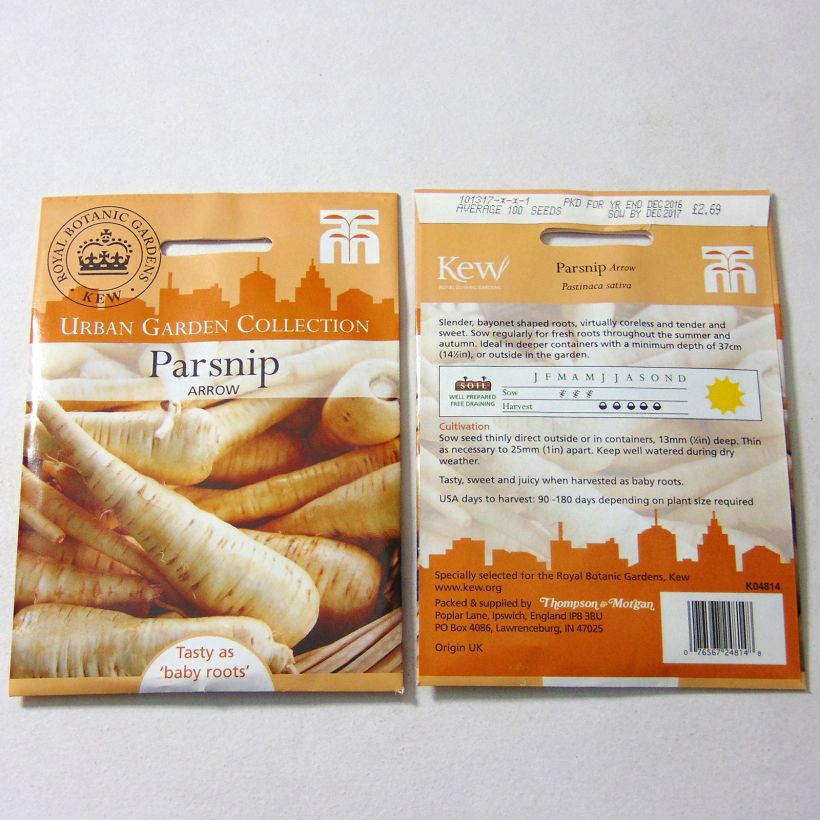 Esempio di esemplare Pastinaca Arrow sacchetto di 100 semi circa come consegnato