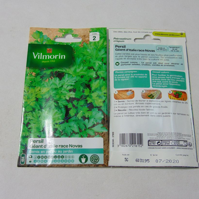 Esempio di esemplare Prezzemolo Géant D'Italie race Novas sacchetto di 3000 semi circa (5g) come consegnato