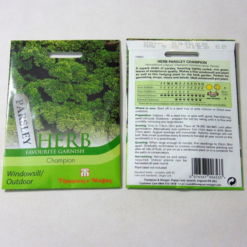 Esempio di esemplare Prezzemolo riccio Champion sacchetto di 1750 semi circa come consegnato