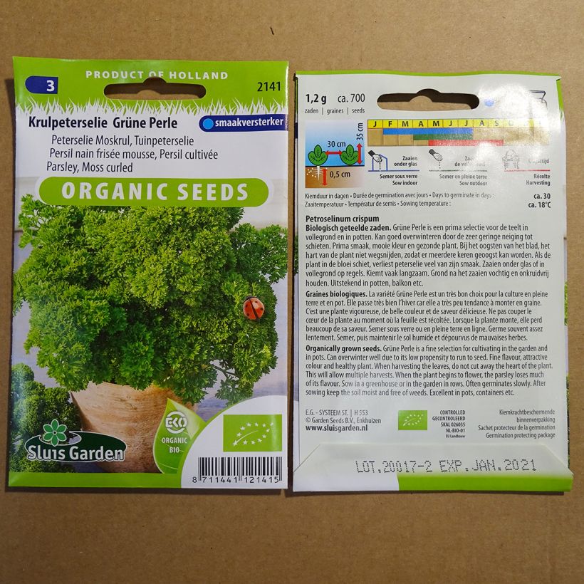 Esempio di esemplare Prezzemolo riccio Perle Verte Grüne Perle sacchetto di 1200 semi circa (2g) come consegnato