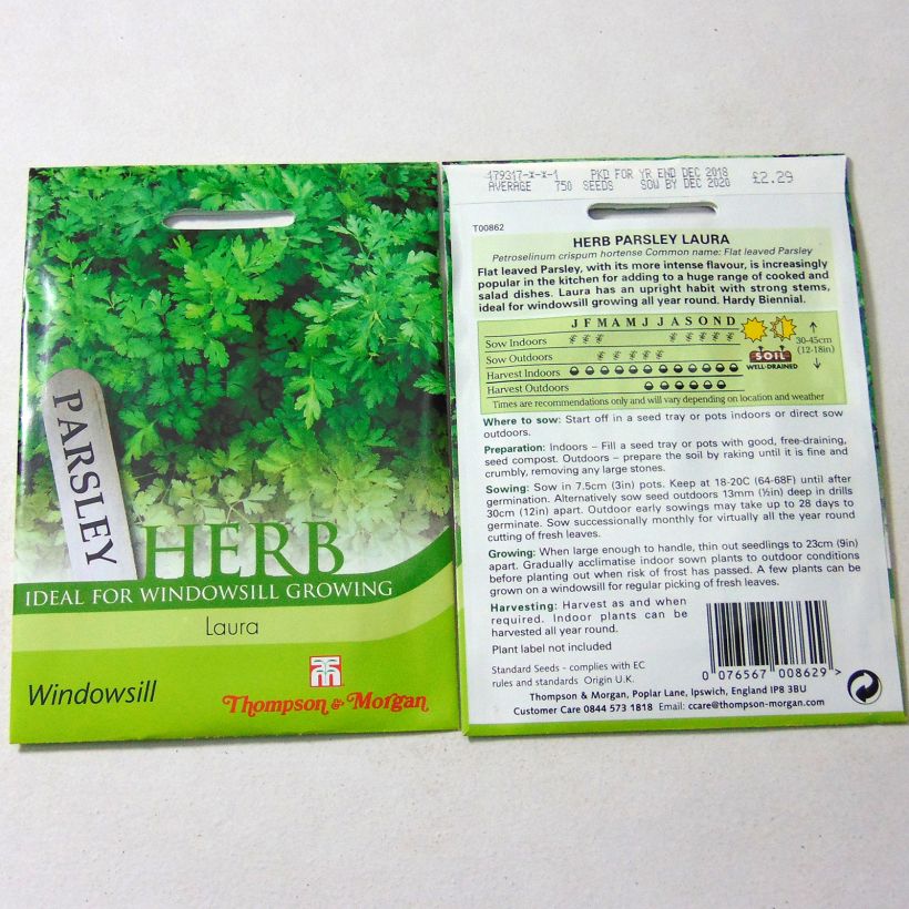 Esempio di esemplare Prezzemolo Laura sacchetto di 750 semi circa come consegnato