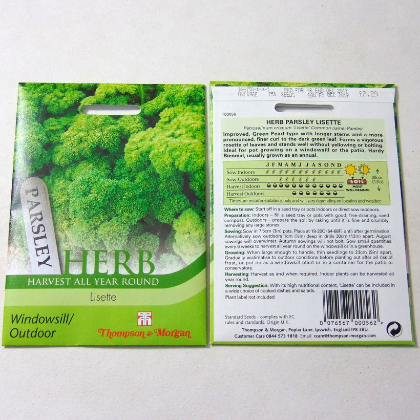 Esempio di esemplare Prezzemolo riccio Lisette sacchetto di 750 semi circa come consegnato