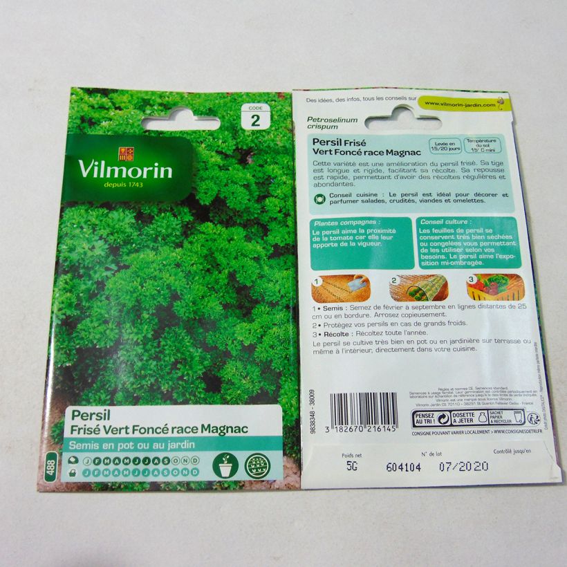 Esempio di esemplare Prezzemolo riccio verde scuro Magnac sacchetto di 3000 semi circa (5g) come consegnato