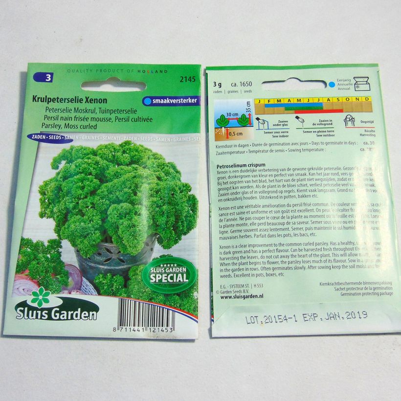 Esempio di esemplare Prezzemolo riccio Wega sacchetto di 1650 semi circa (3g) come consegnato