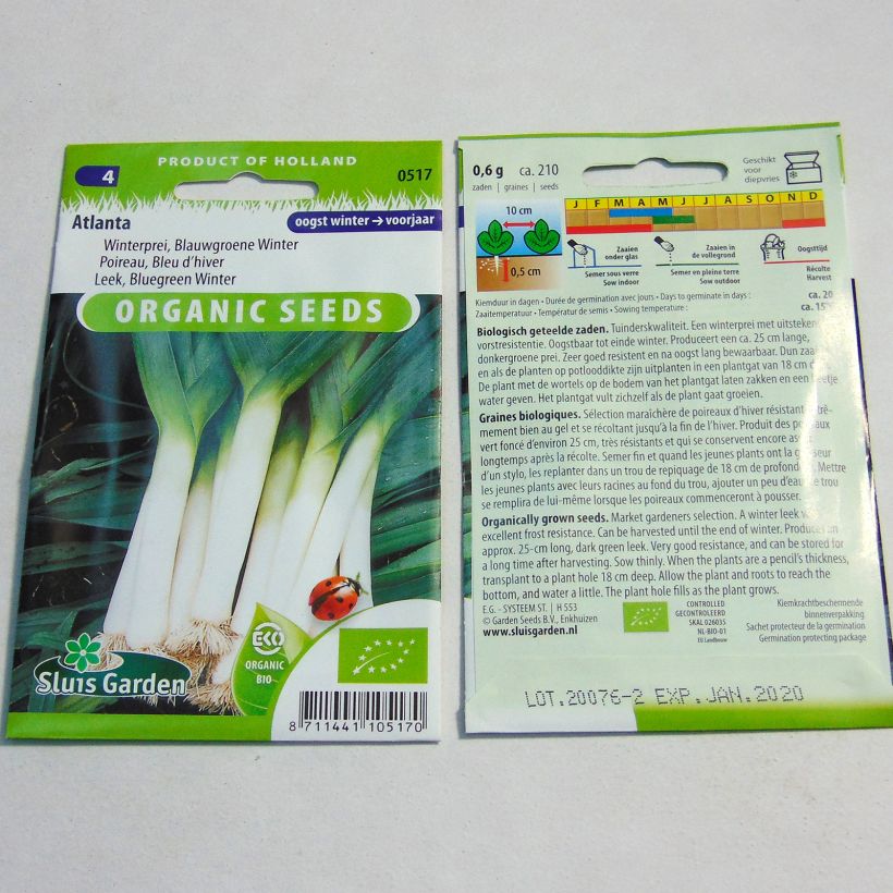 Esempio di esemplare Porro Atlanta sacchetto di 210 semi circa come consegnato