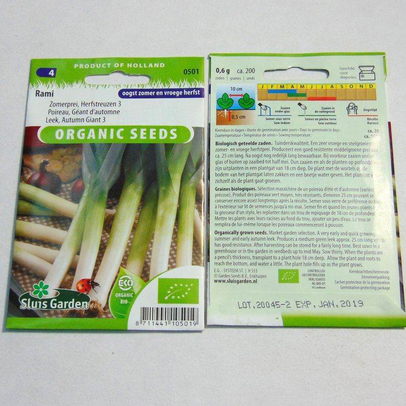 Esempio di esemplare Porro Gigante autunnale 3 Rami sacchetto di 200 semi circa come consegnato