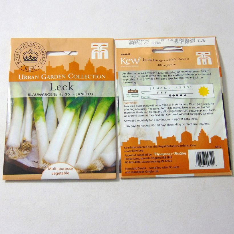 Esempio di esemplare Porro Lancelot sacchetto di 250 semi circa come consegnato