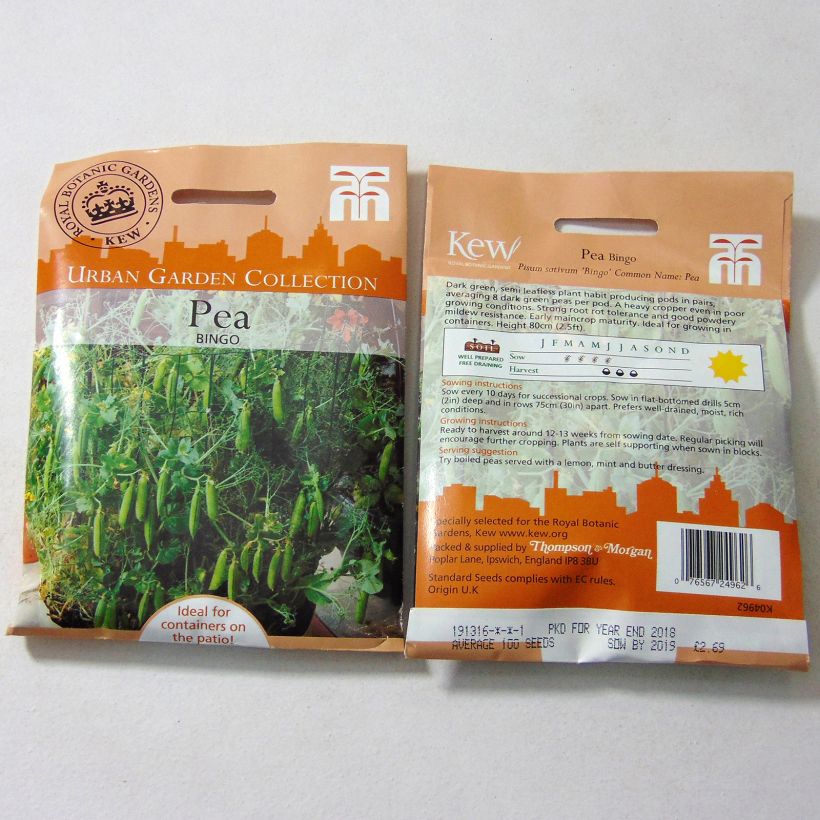 Esempio di esemplare Pisello a mezza rama Bingo sacchetto di 100 semi circa come consegnato