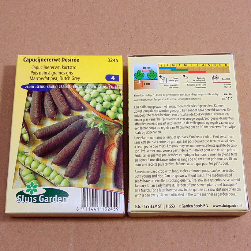 Esempio di esemplare Pisello nano Désirée sacchetto di semi da 60 grammi come consegnato