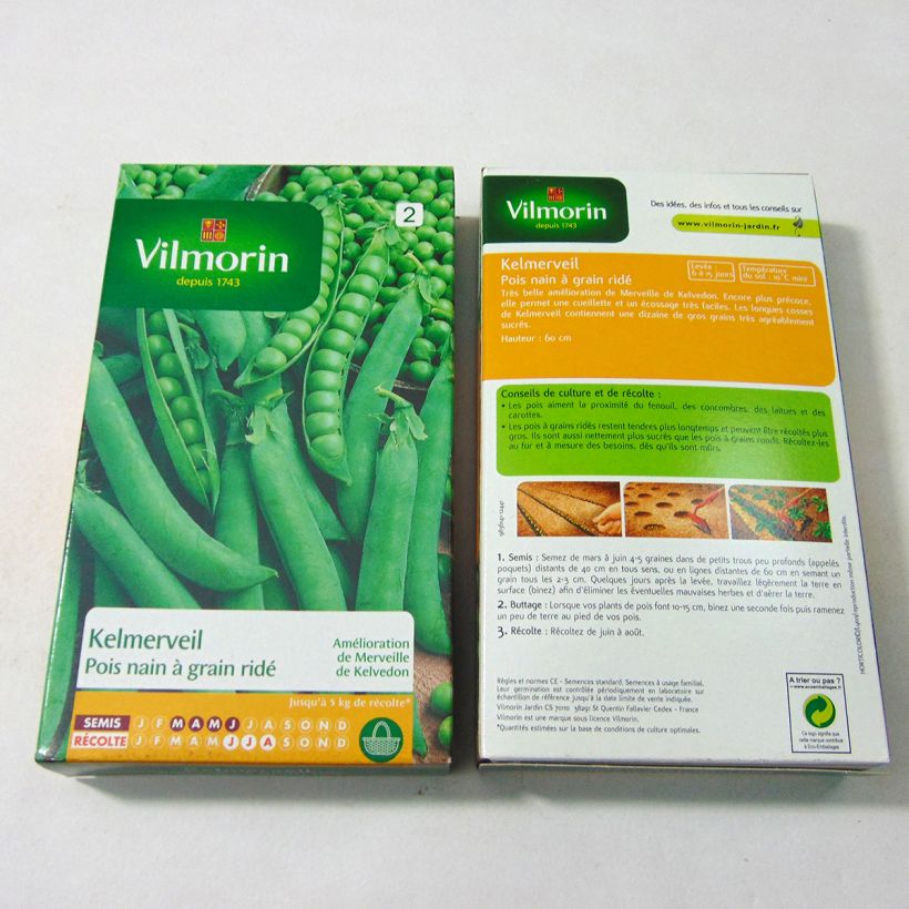 Example of Pisello nano Kelmerveil sacchetto di 600 semi circa (200g) as you get