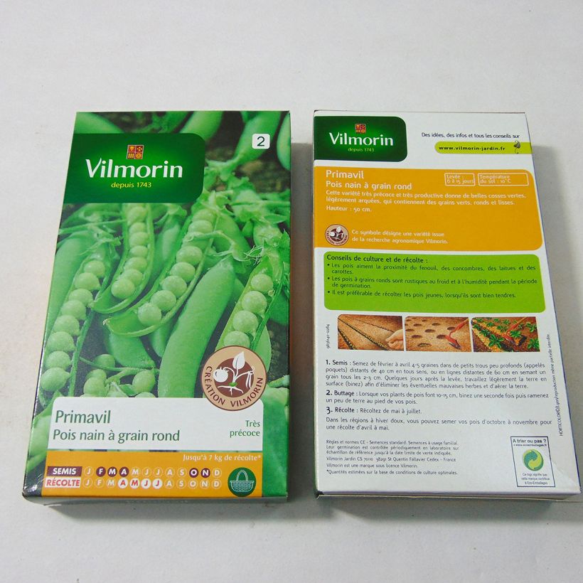 Esempio di esemplare Pisello nano Primavil sacchetto di 600 semi circa (200g) come consegnato