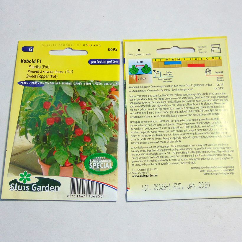 Esempio di esemplare Peperone Kobold sacchetto di 8 semi circa come consegnato