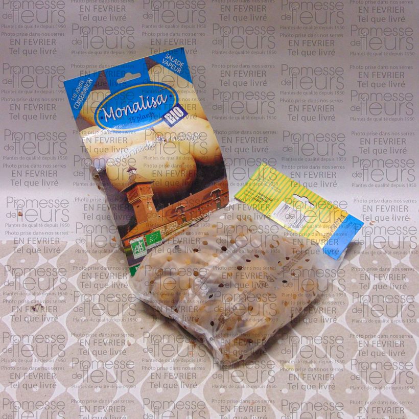 Example of Patata Mona Lisa Bio sacco da 25 piante taglia 28/45 mm as you get