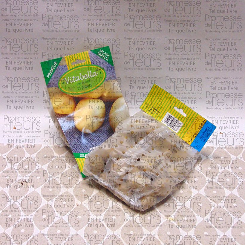 Example of Patata Vitabella sacco da 25 piante taglia 28/35 mm as you get