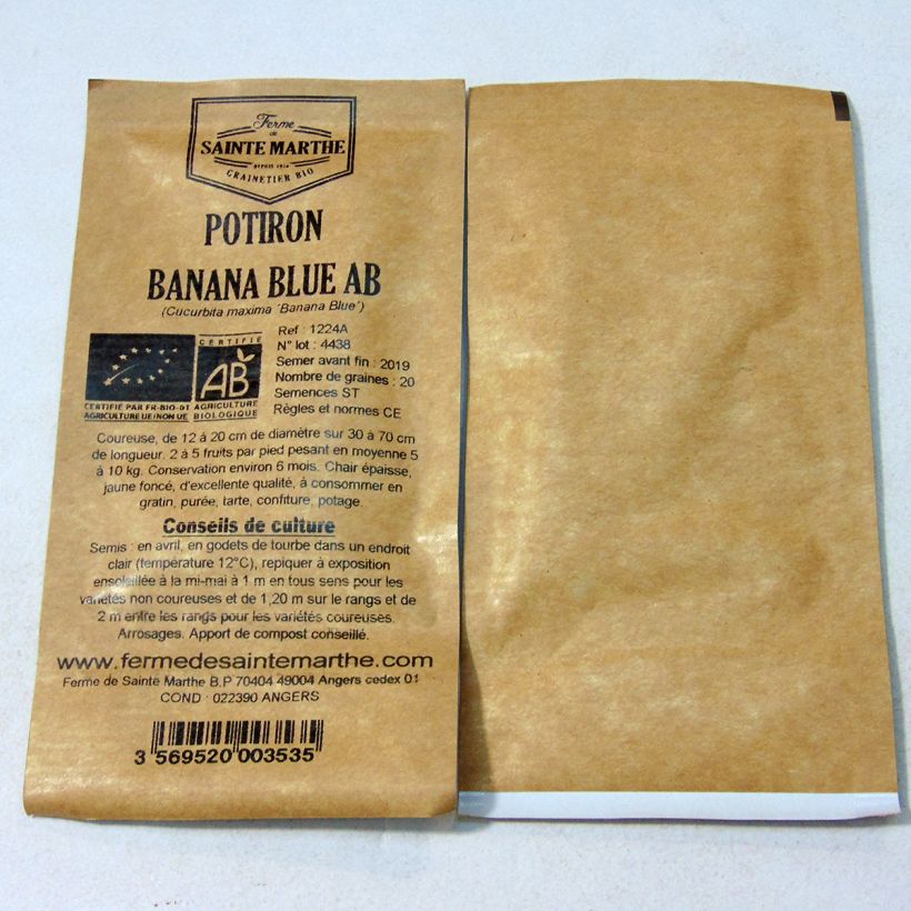 Esempio di esemplare Zucca Banana Blue sacchetto di 20 semi circa (5g) come consegnato