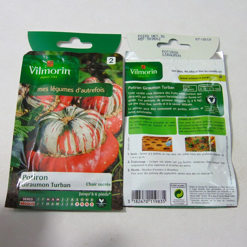 Esempio di esemplare Zucca Giraumon Turban - Vilmorin sacchetto di 18 semi circa (3g) come consegnato