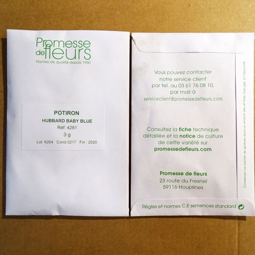 Example of Zucca Hubbard Baby Blue sacchetto di 20 semi circa (3g) as you get