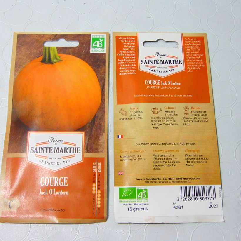 Example of Zucca decorativa 'Jack O'Lantern' Bio - Ferme de Sainte Marthe sacchetto di 8 semi circa (1g) as you get